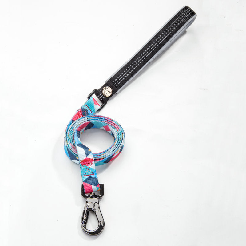 Discover the Perfect Dog Leash for Your Furry Friend